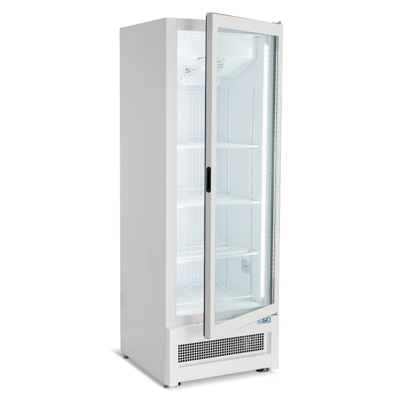Armoire réfrigérée en verre marin négative -18/-22°C - Froid ventilé 1 porte vitrée battante - 353 litres Remise