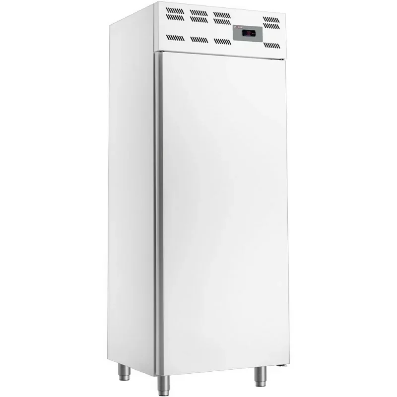 Armoire congelation 20x EN 600x400, statique, (500 Lit.) - Skinplate blanc Haute Qualité