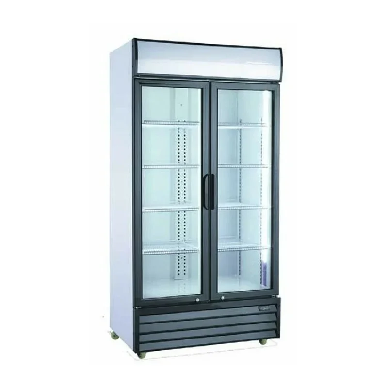 Vitrine à boissons 850 litres - 2 portes vitrées battantes - avec Canopy Retour Gratuit