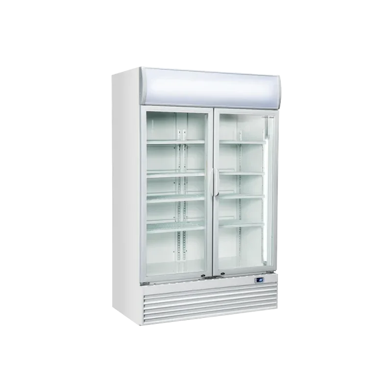 Armoire à boissons 2 portes battantes- 1000 litres - +1°/+10°C Bon Plan